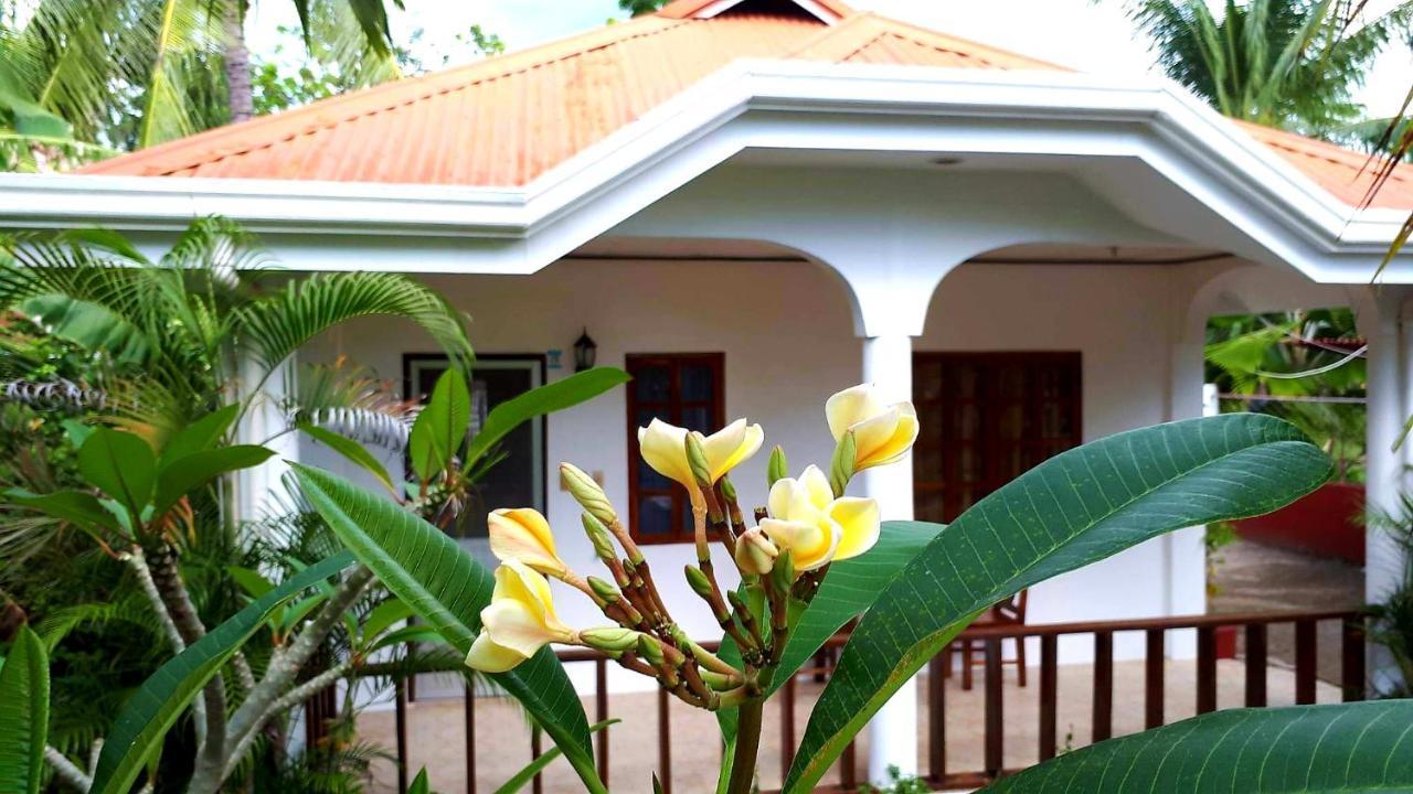 Palmera Palma Private 1-Br Bungalow In Moalboal Eksteriør bilde